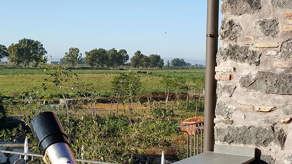 Farm stay Oasi Di Francesca Villa Gerbini Italy